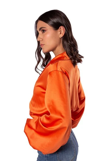 Blusa Manga Globo 4 Blusa Manga Globo - Imagen 2